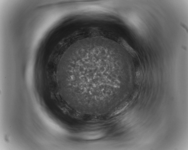 X0000097760765200803211714