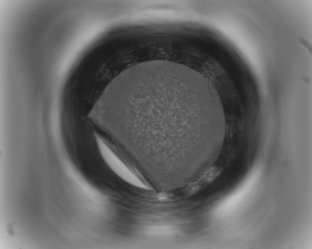 X0000097760766200803211714