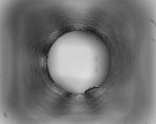 X0000097760768200803211714