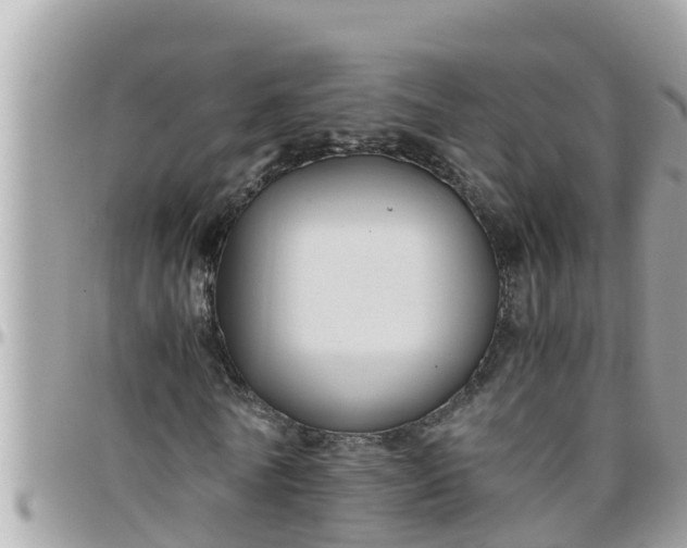 X0000097760770200803211713