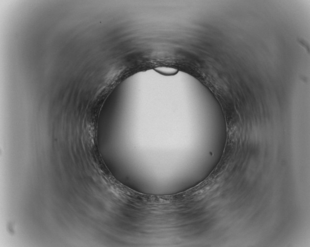 X0000097760772200803211713