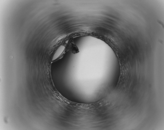 X0000097760773200803211713