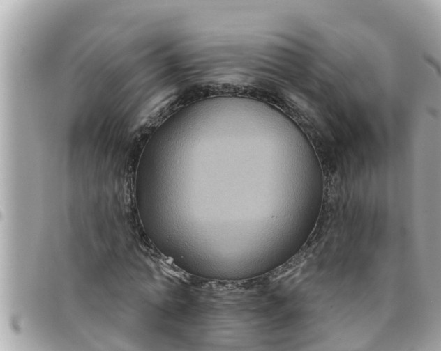 X0000097760774200803211713