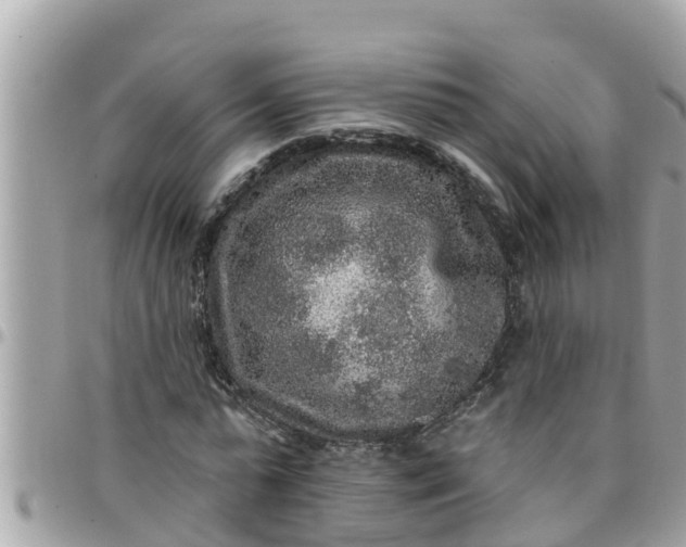 X0000097760775200803211713