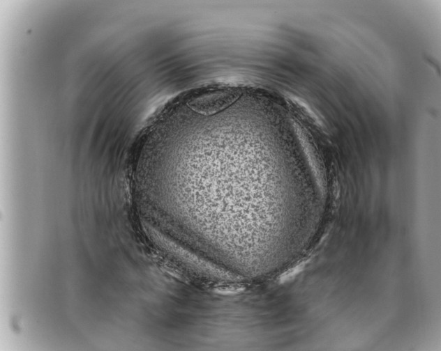 X0000097760776200803211713