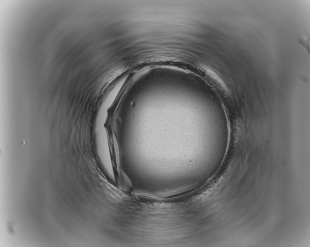 X0000097760777200803211713