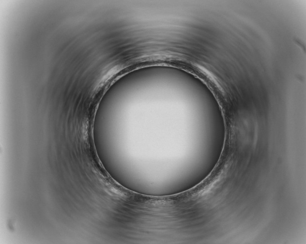 X0000097760778200803211713