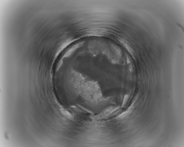 X0000097760779200803211713