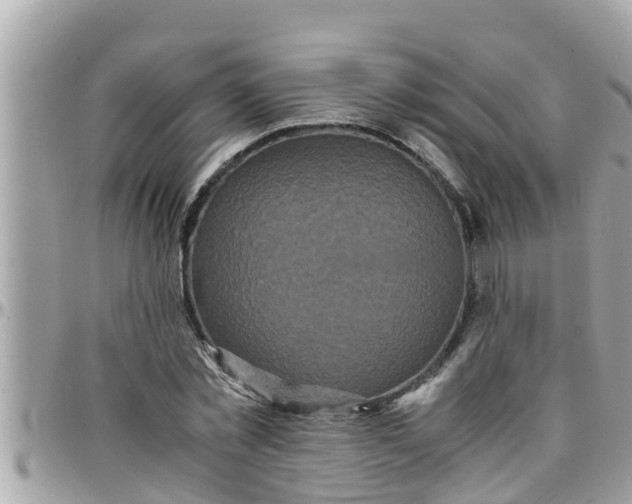 X0000097760781200803211713