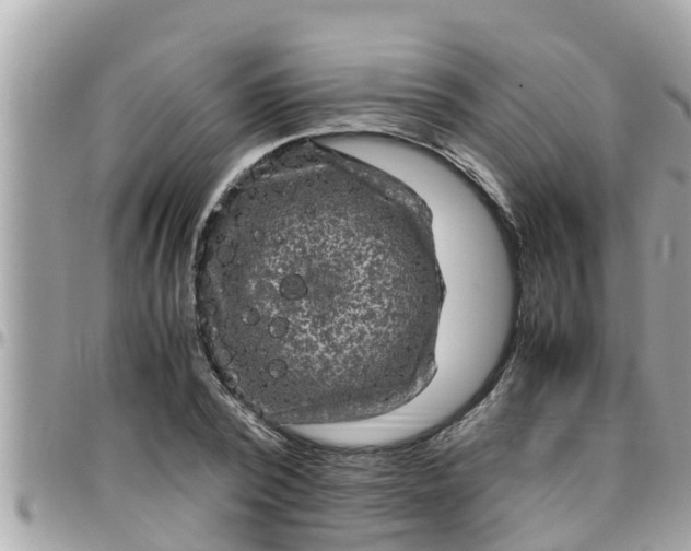 X0000097760784200803211713