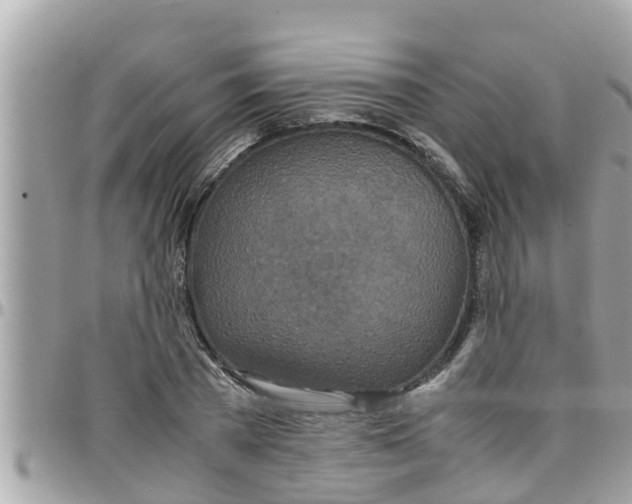 X0000097760785200803211713