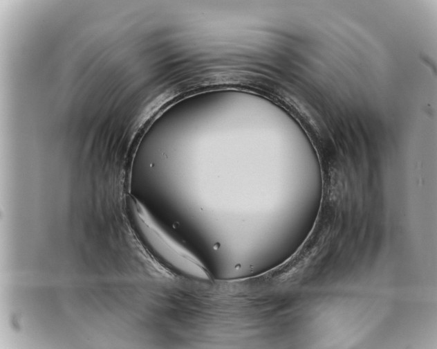 X0000097760786200803211713