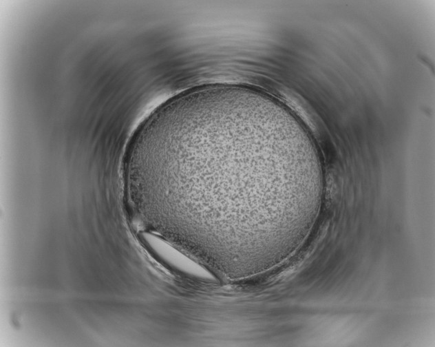 X0000097760787200803211713