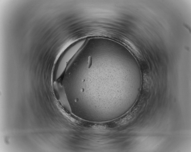 X0000097760788200803211713