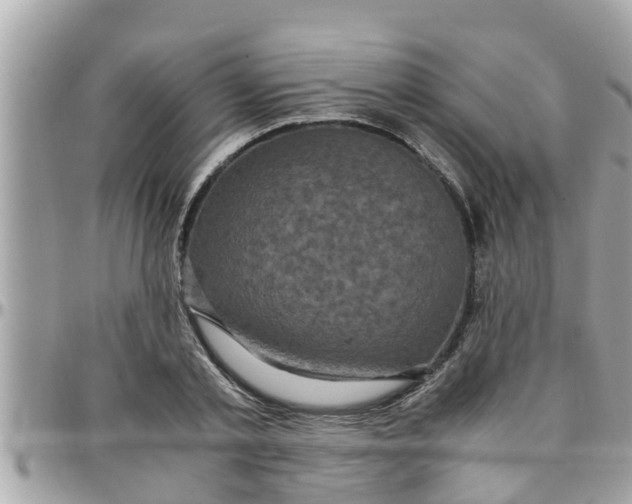 X0000097760789200803211713