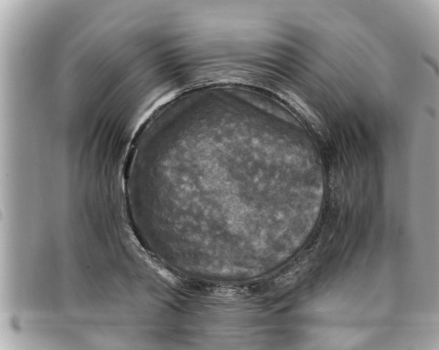 X0000097760790200803211713