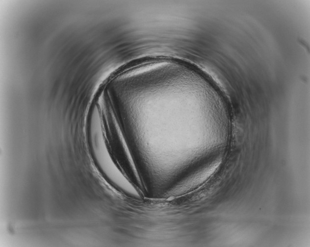 X0000097760791200803211713