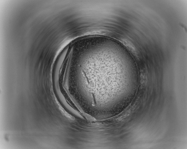 X0000097760792200803211713