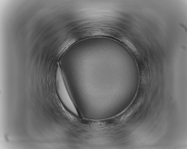 X0000097760793200803211713