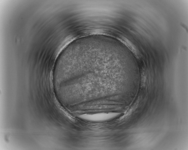 X0000097760798200803211713