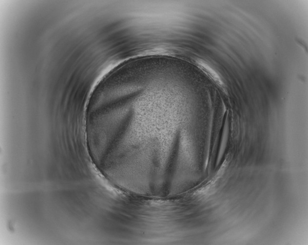 X0000097760800200803211713