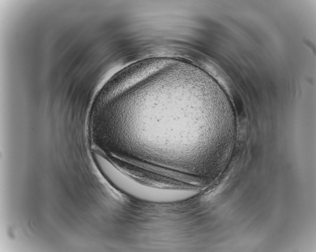 X0000097760803200803211713