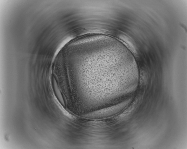 X0000097760804200803211713