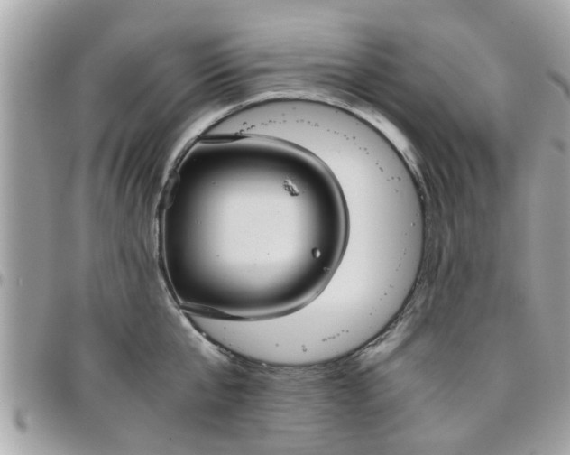 X0000097760807200803211713