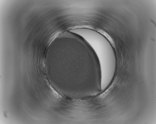 X0000097760809200803211713