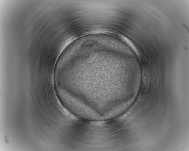 X0000097760810200803211713