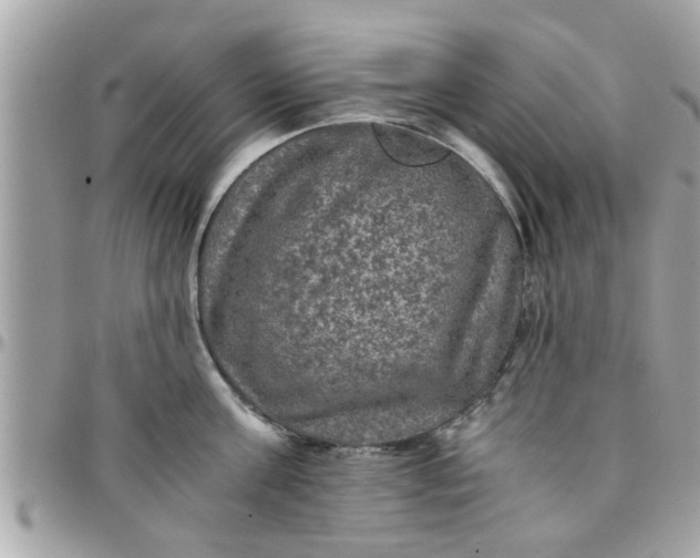 X0000097760811200803211713