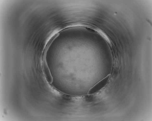 X0000097760813200803211713