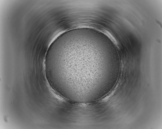 X0000097760814200803211713