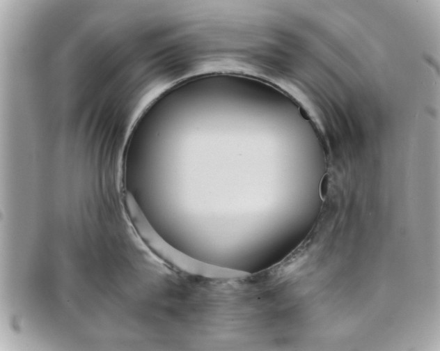 X0000097760815200803211713