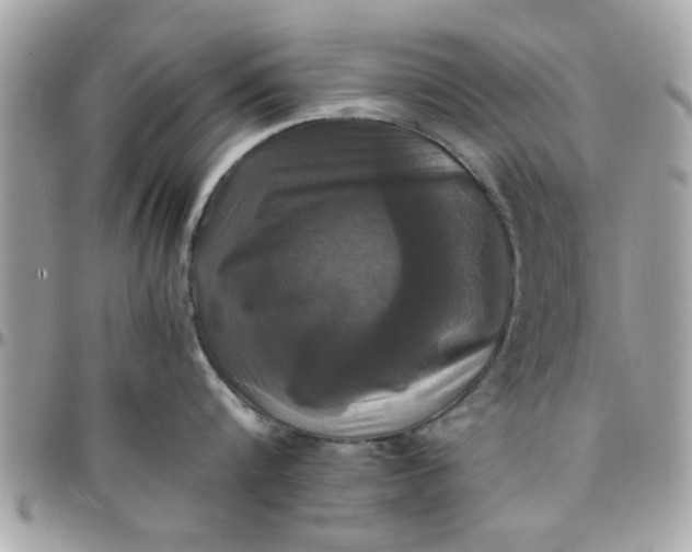 X0000097760816200803211713