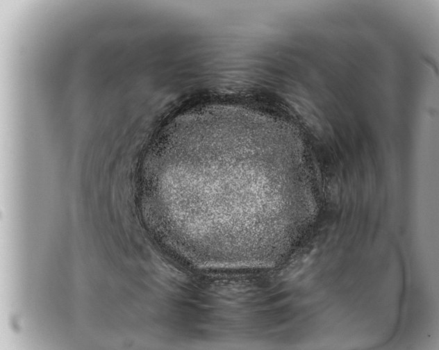 X0000097760817200803211712