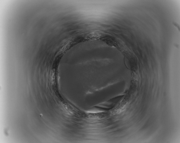 X0000097760818200803211712