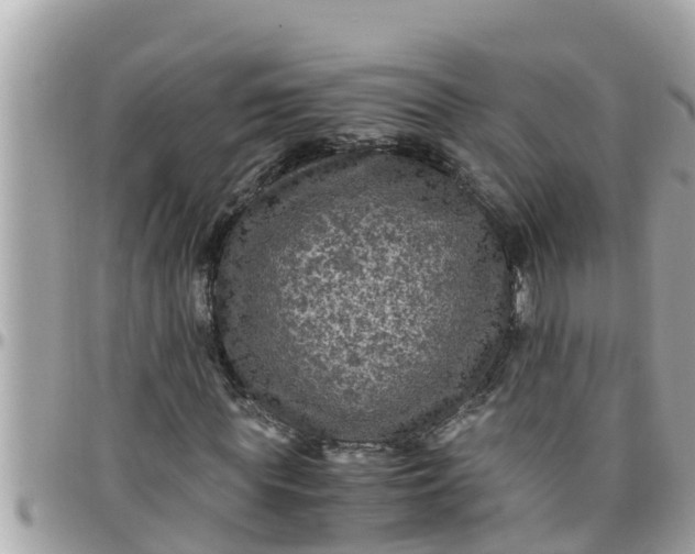 X0000097760819200803211712