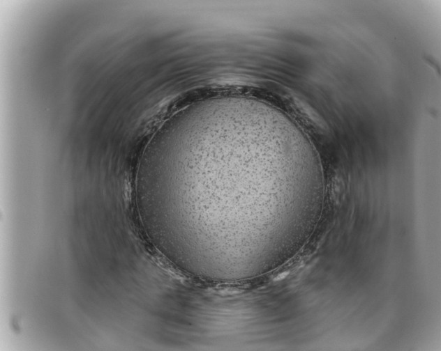 X0000097760821200803211712