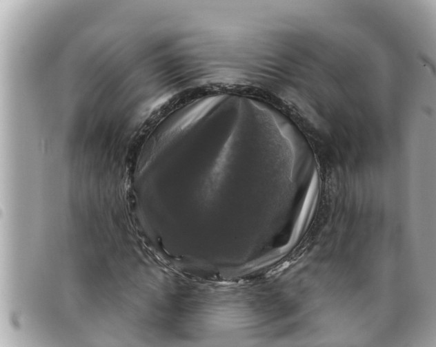 X0000097760822200803211712