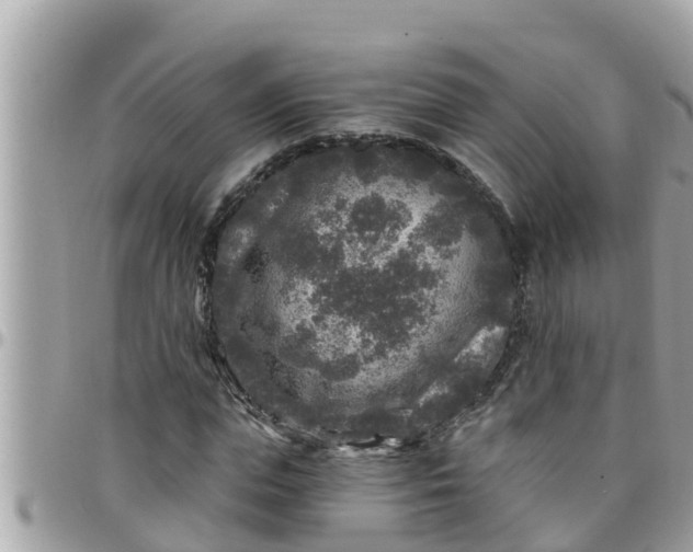 X0000097760823200803211712