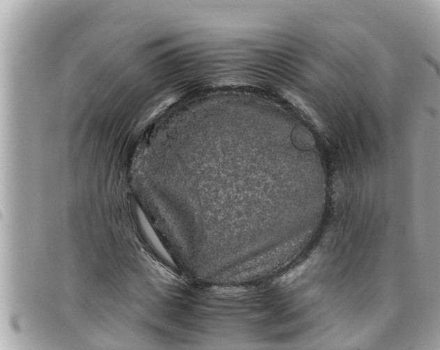 X0000097760825200803211712