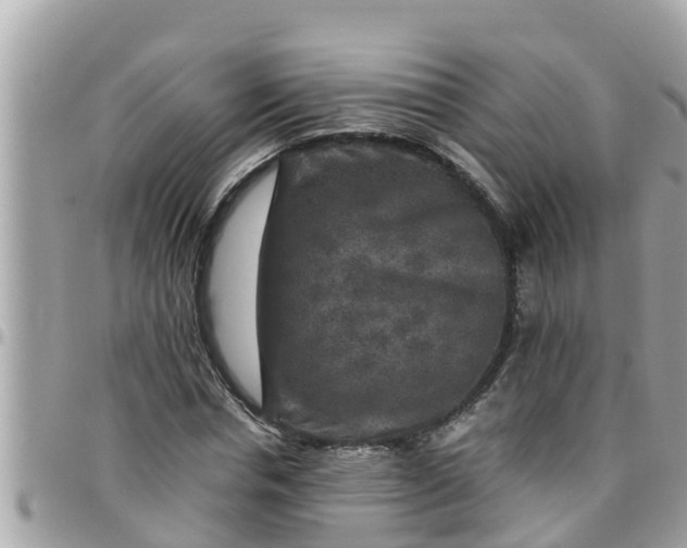 X0000097760826200803211712