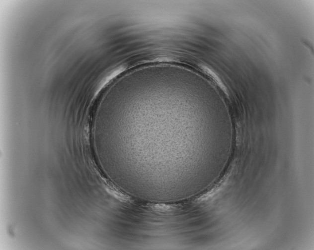 X0000097760827200803211712