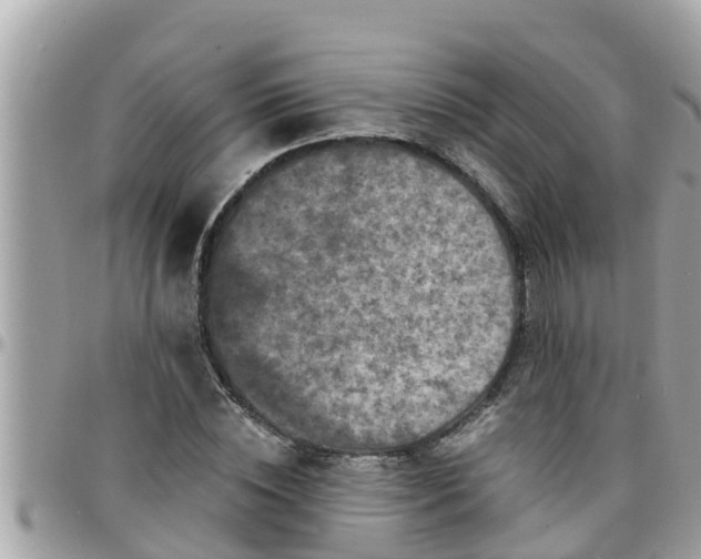 X0000097760828200803211712