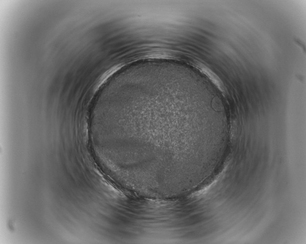 X0000097760829200803211712