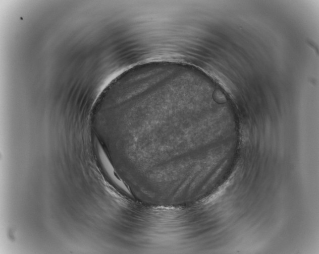 X0000097760830200803211712