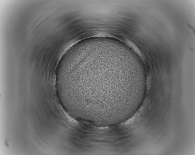 X0000097760831200803211712