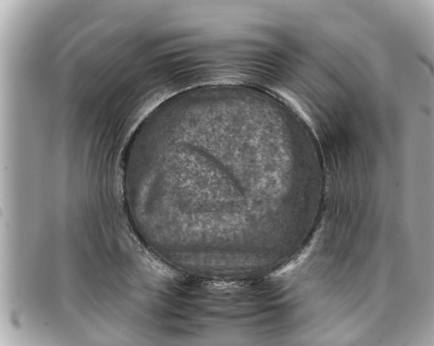 X0000097760835200803211712