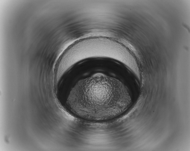 X0000097760836200803211712